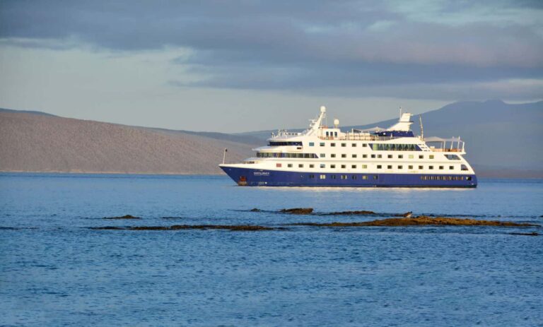 Galapagos Tours: The Ultimate Guide to Choosing the Best Galapagos Cruises and Tour Packages